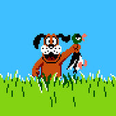 Duck Hunt Icon