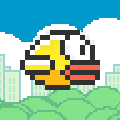 clumsy bird Icon