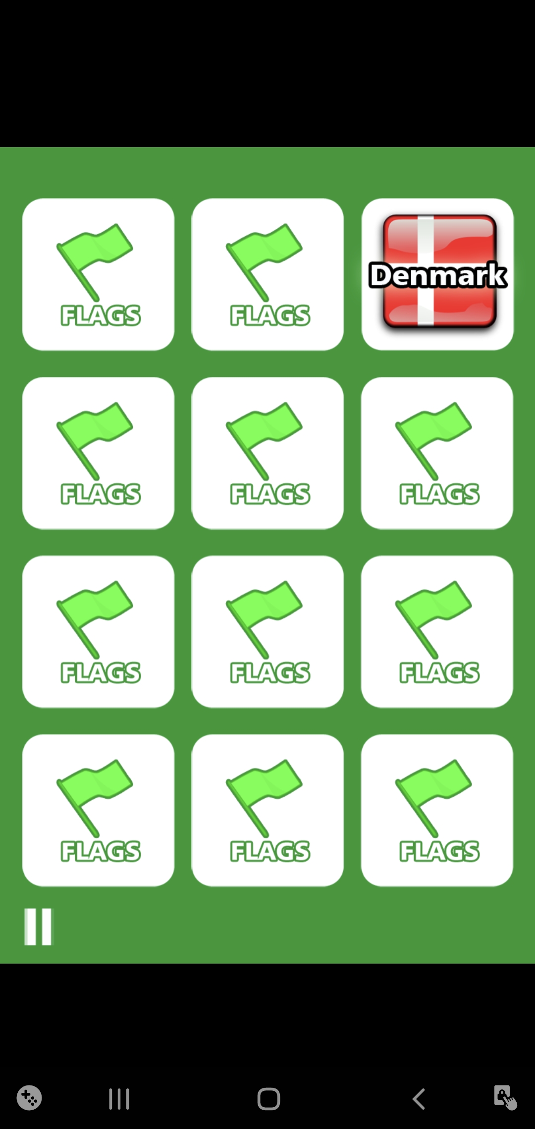 Flags Screenshot