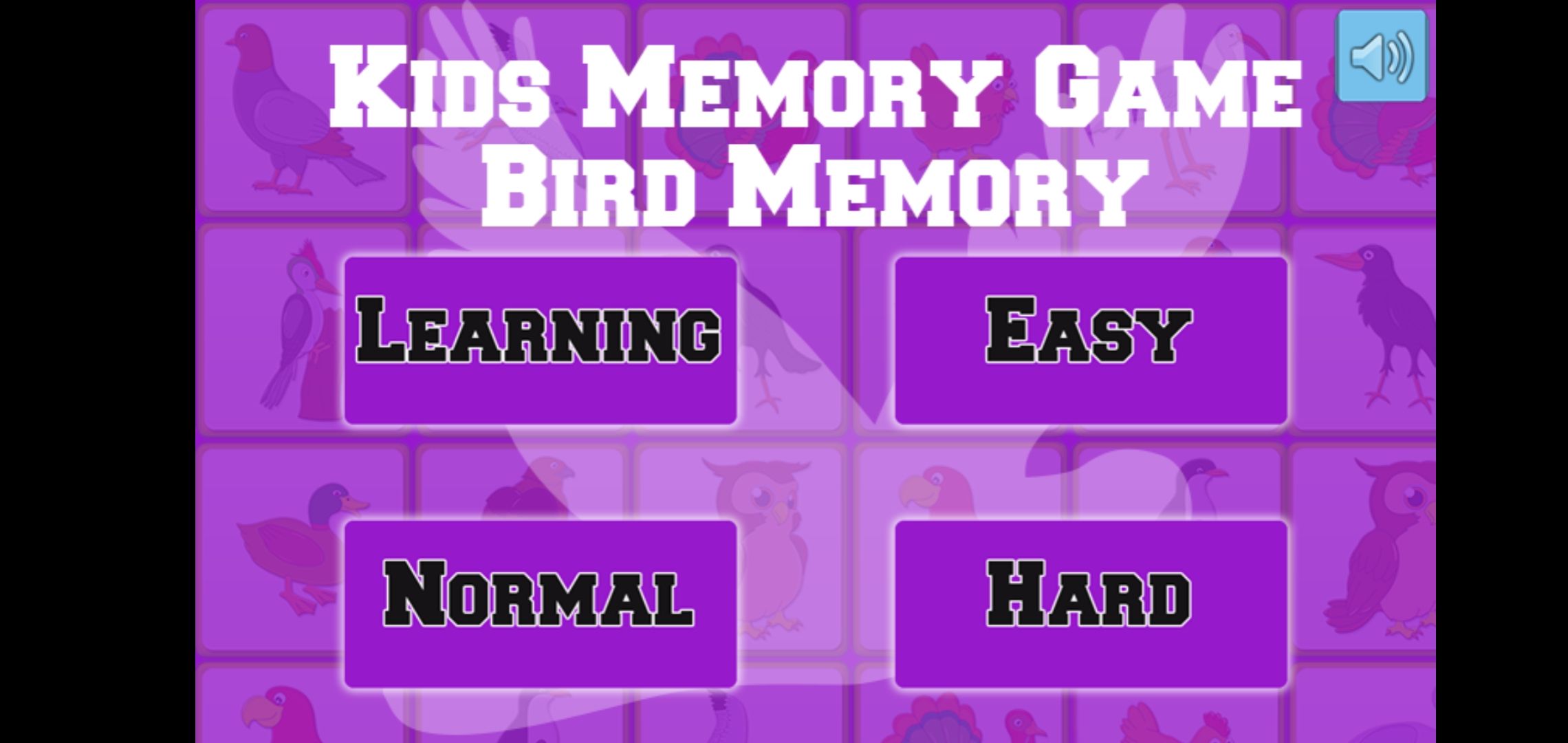 BIRDS MEMORY Screenshot