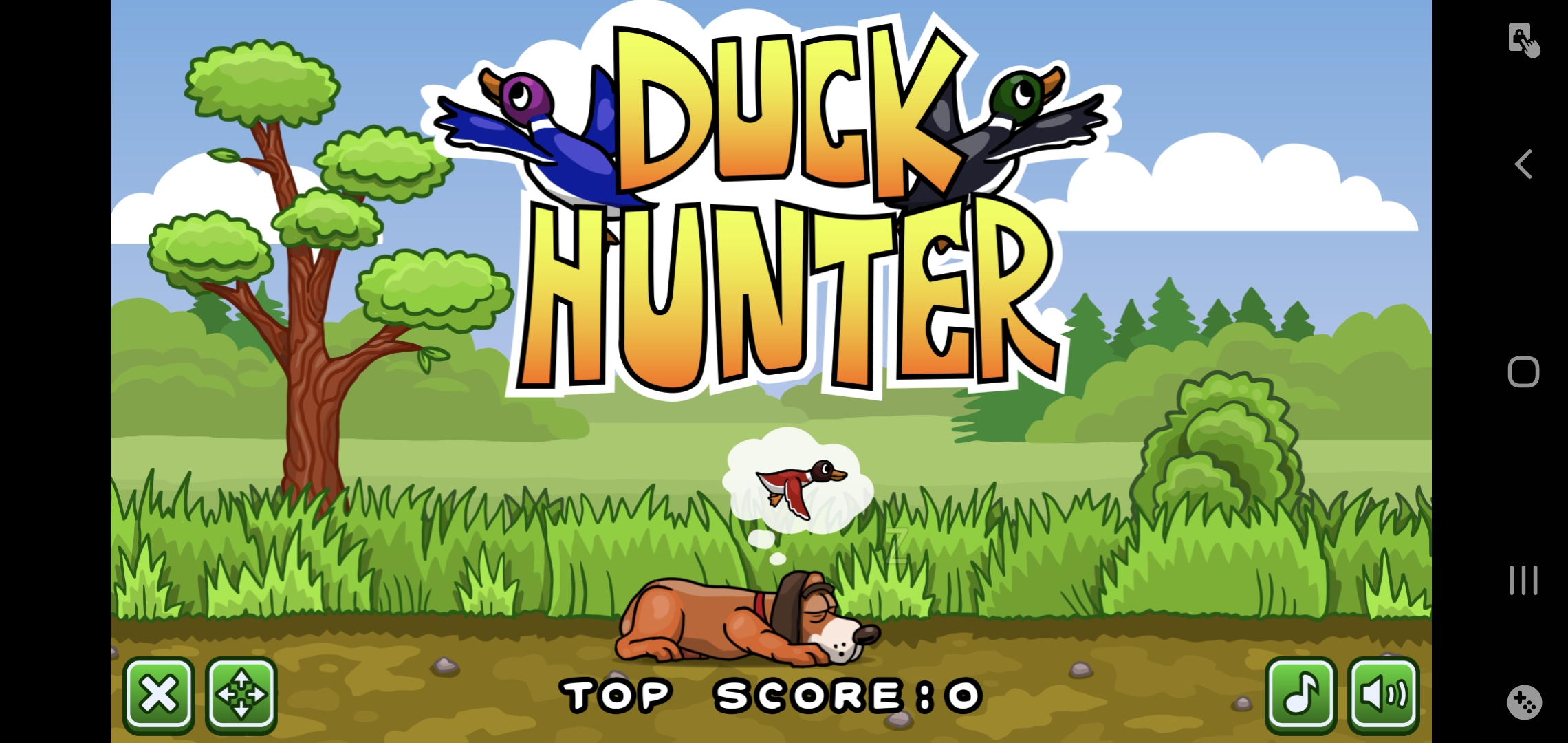 Duck Hunter Screenshot